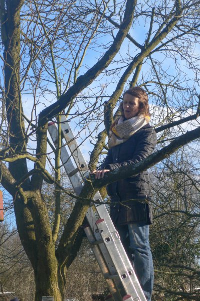 Im Baum