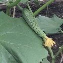 IMG_20230701_140019