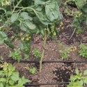 IMG_20230701_142927