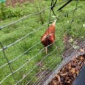IMG_20230701_151530
