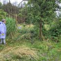 IMG_20230701_161947