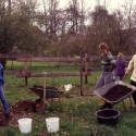 27)Obstbaumpflanzung, Wiese-Ost