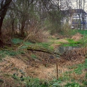 55)Rekultivierung des alten Grabens