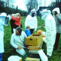 Imkerei 1992