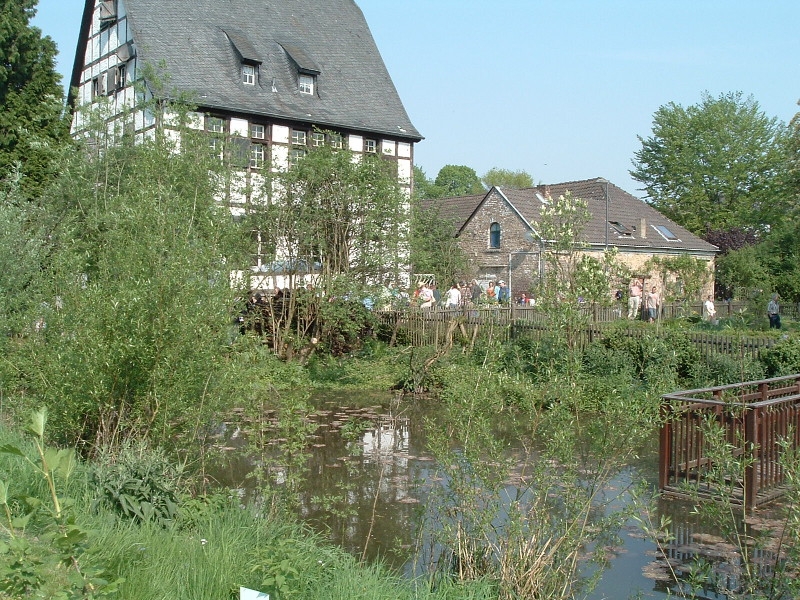 Wehrgraben/Teich