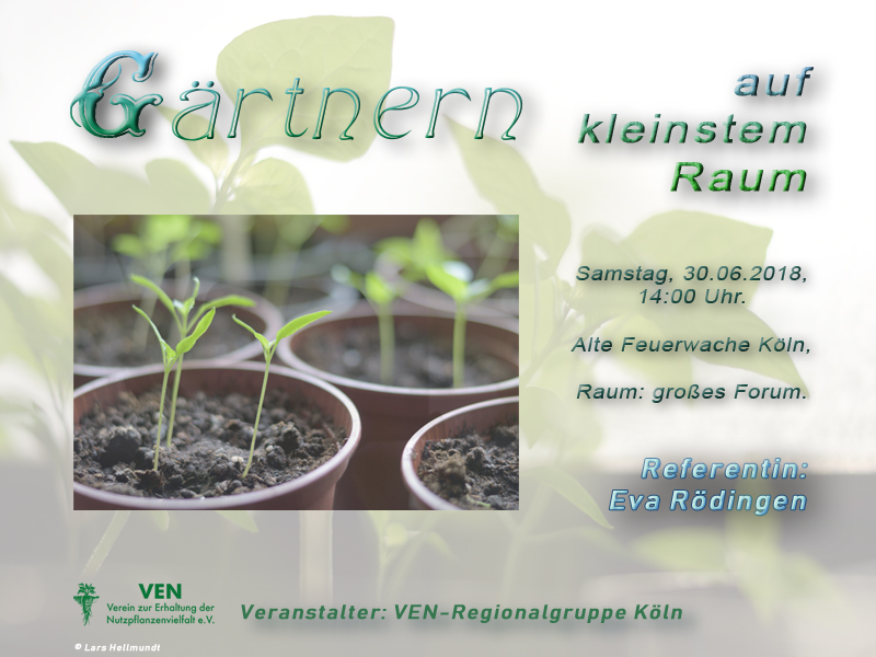 Gärtnern auf kleinstem Raum: Workshop am 30.6. 2018, 14 – 17 Uhr