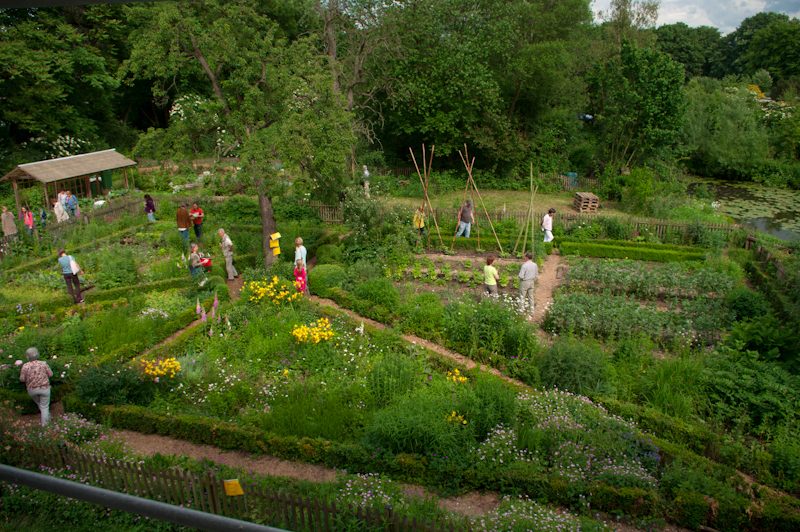 VHS-Kurs: Einen Bauerngarten planen, anlegen und bepflanzen